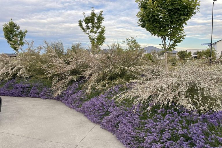 Photo of property in 18 Merino Street, Marshland, Christchurch, 8083