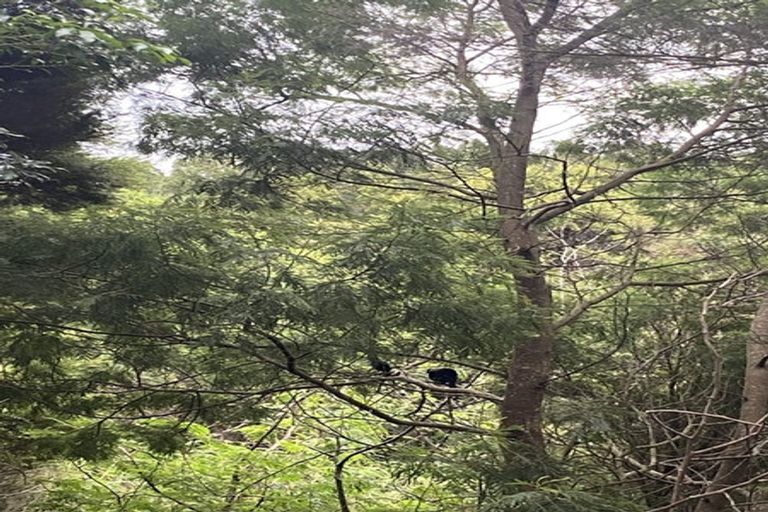 Photo of property in 341 Upper Harbour Drive, Greenhithe, Auckland, 0632