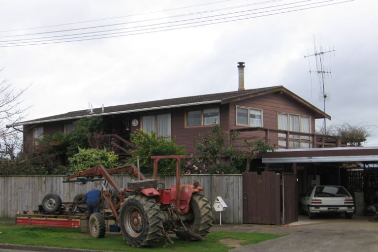 Photo of property in 16 William Street, Levin, 5510