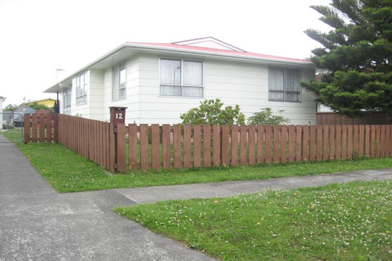 Photo of property in 12 Massey Street, Aramoho, Whanganui, 4500