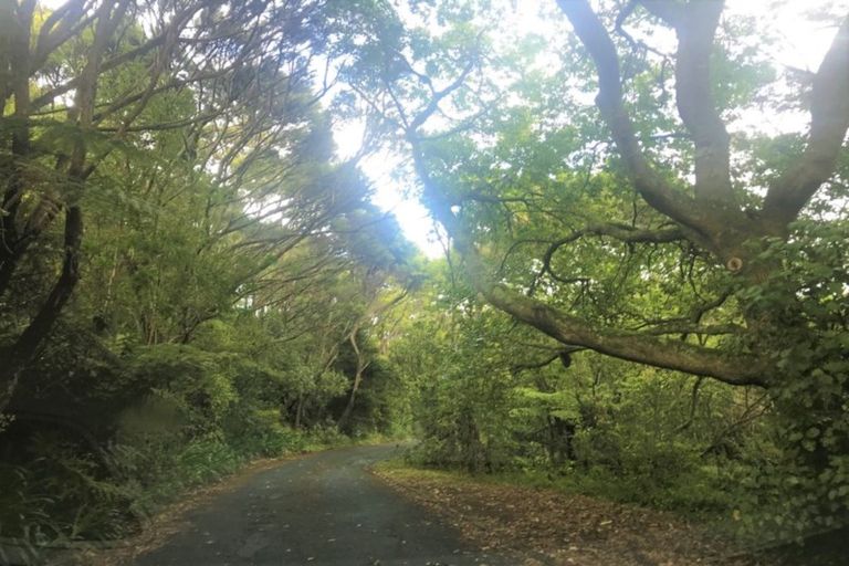 Photo of property in 24 Valley Road, Northcote, Auckland, 0626