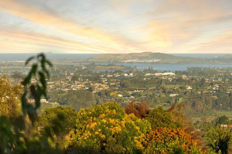 Photo of property in 295b Minden Road, Minden, Tauranga, 3176