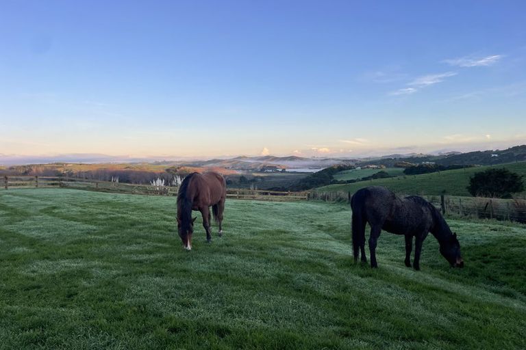 Photo of property in Dunkerron Farm, 852 Oneriri Road, Kaiwaka, 0573