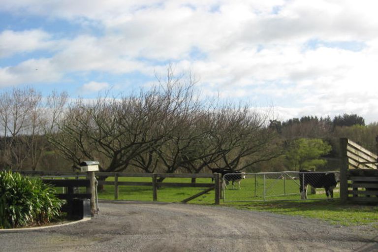 Photo of property in 61 Gordon Place, Levin, 5510