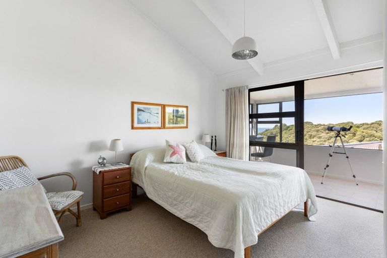 Photo of property in 445 Onemana Drive, Onemana, Whangamata, 3691