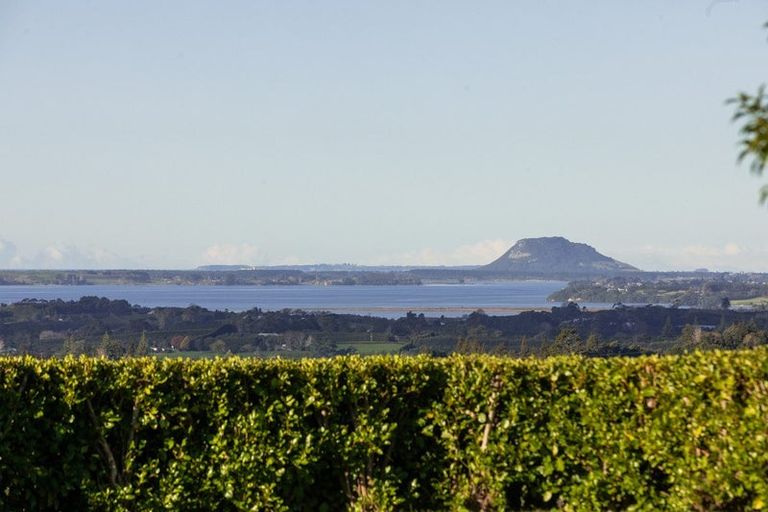 Photo of property in 329b Thompsons Track, Aongatete, 3178