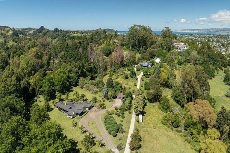 Photo of property in 143 Valley Road, Mangapapa, Gisborne, 4010