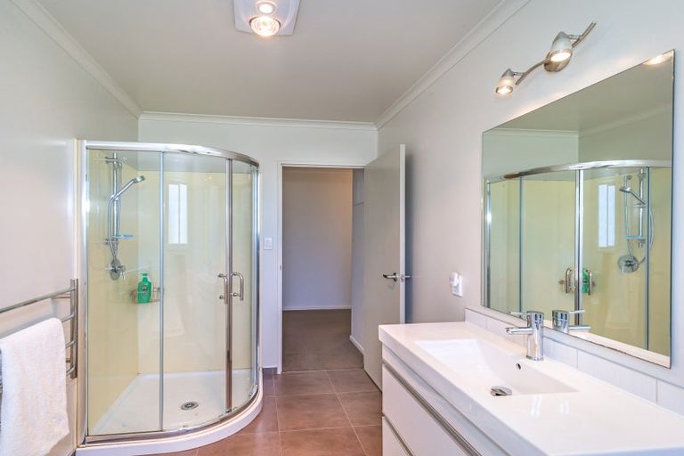 Photo of property in 46 Oakland Lane, Shannon, Palmerston North, 4474