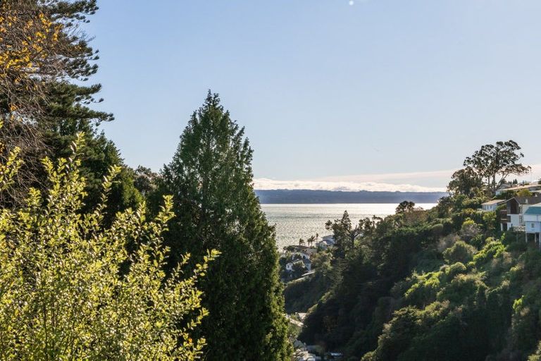 Photo of property in 23 Fitzroy Road, Bluff Hill, Napier, 4110