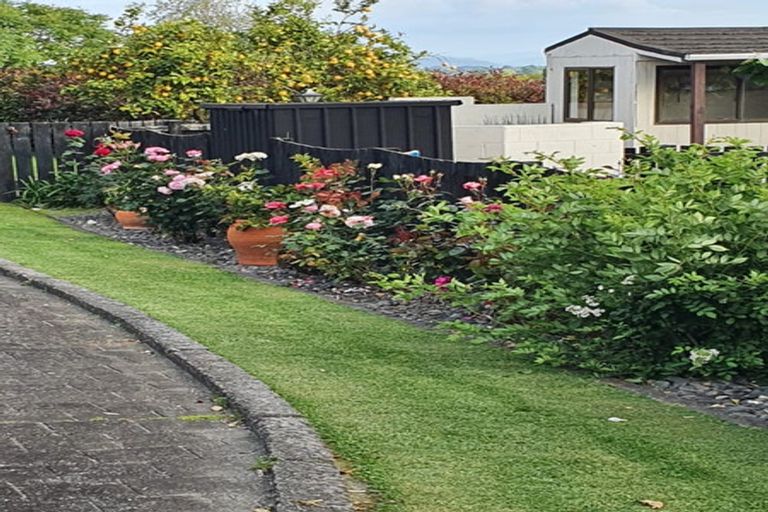 Photo of property in 852 Bond Road, Te Awamutu, 3879