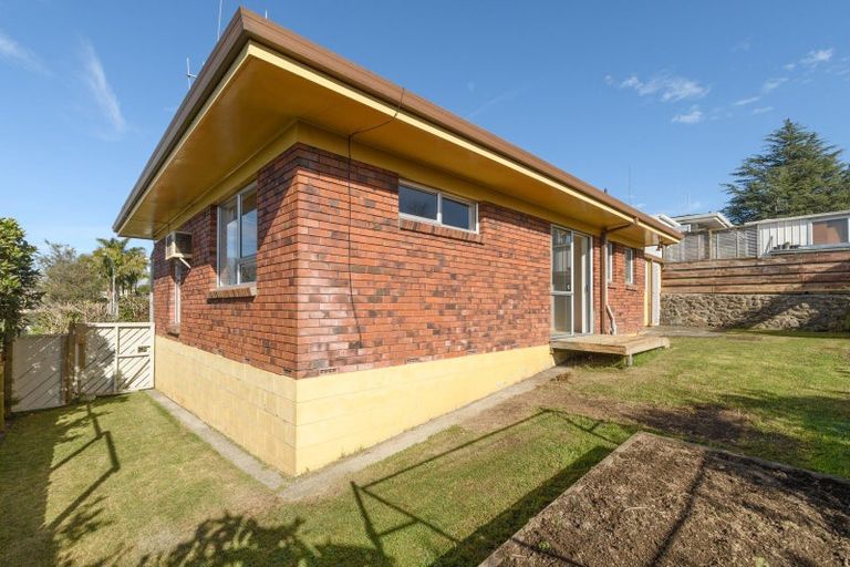 Photo of property in 1b Birmingham Street, Judea, Tauranga, 3110