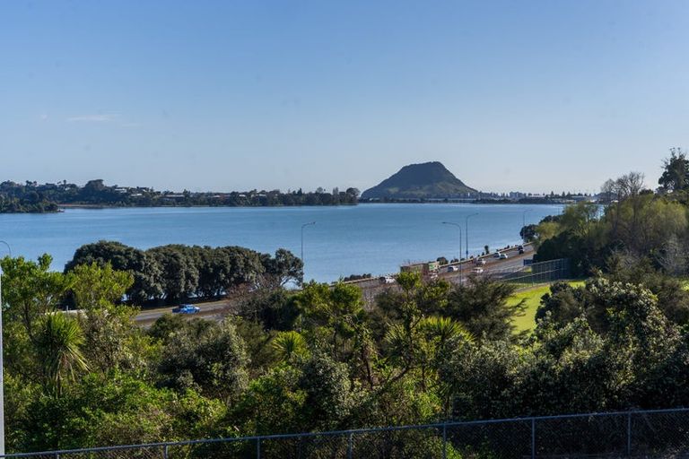 Photo of property in 6/29 Accadia Lane, Tauranga, 3110