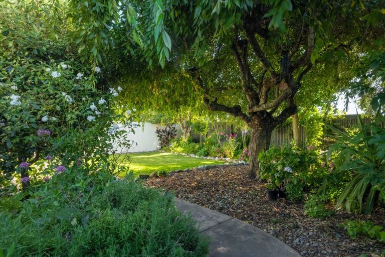 Photo of property in 28 Adams Lane, Springlands, Blenheim, 7201