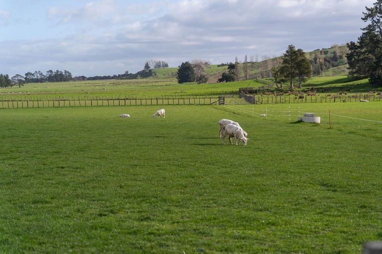 Photo of property in 313 Matahiwi Road, Matahiwi, Masterton, 5888