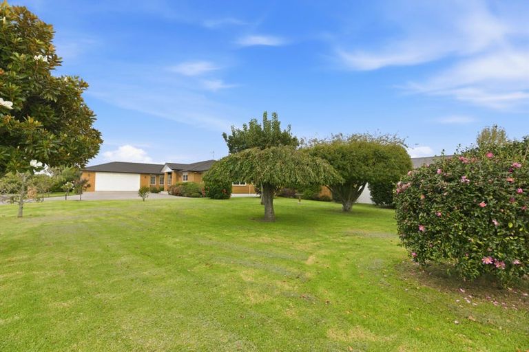 Photo of property in 6 O'connor Way, Bethlehem, Tauranga, 3110