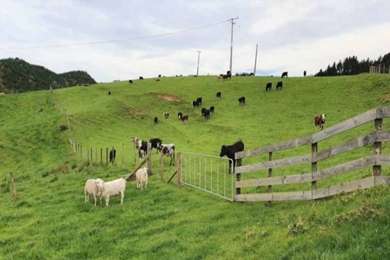 Photo of property in 72 Cogswell Road, Raglan, 3295