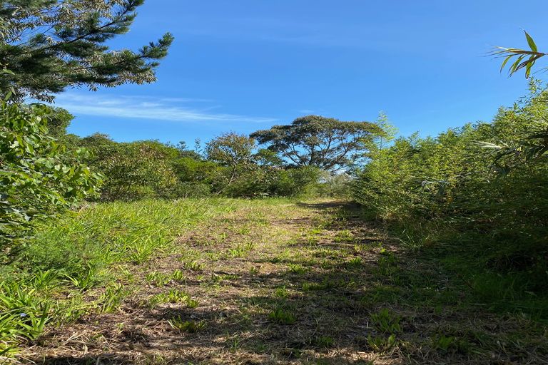 Photo of property in 463 Henderson Bay Road, Houhora, Pukenui, 0484