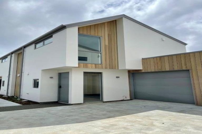 Photo of property in 57b Frankleigh Street, Somerfield, Christchurch, 8024