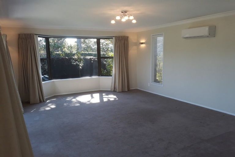 Photo of property in 17 Norfolk Street, St Albans, Christchurch, 8052