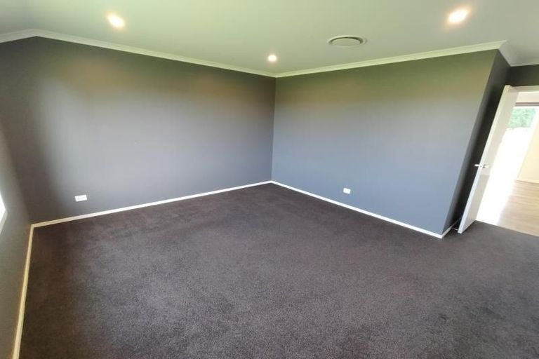 Photo of property in 115 Clevely Line, Bunnythorpe, Palmerston North, 4478