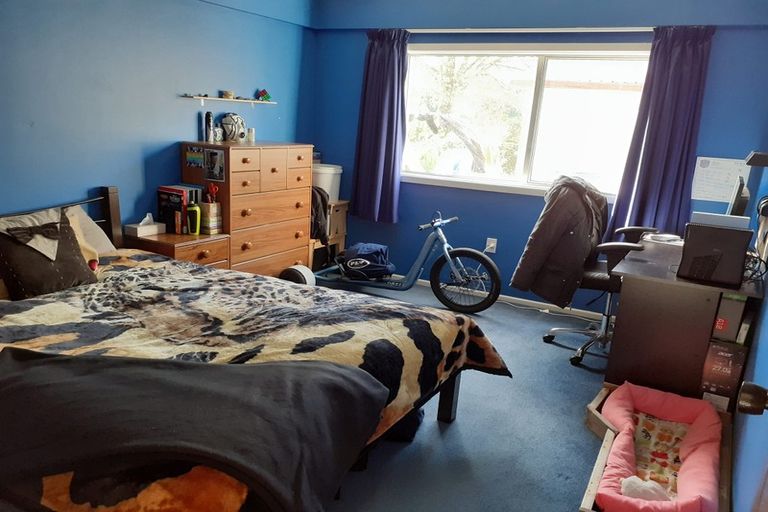 Photo of property in 205 Dalziel Road, Brockville, Dunedin, 9011