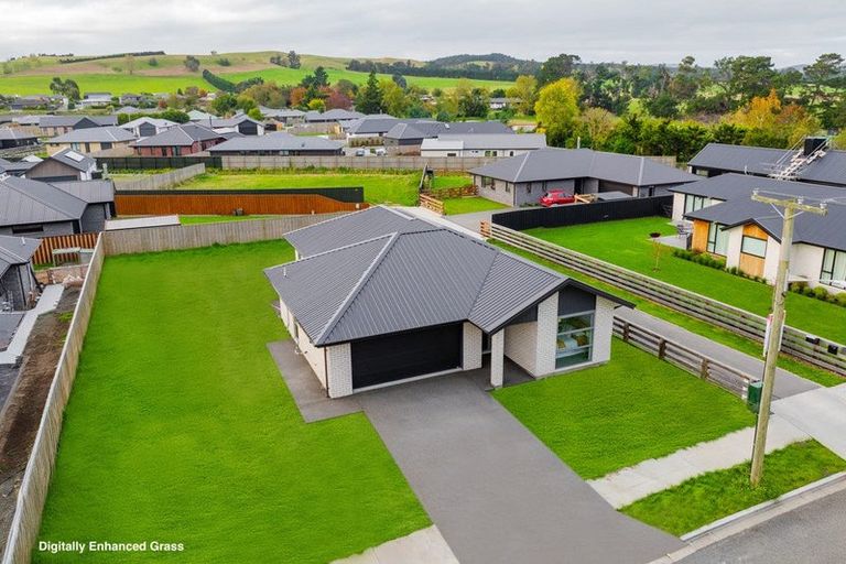 Photo of property in 65 Courage Road, Amberley, 7410