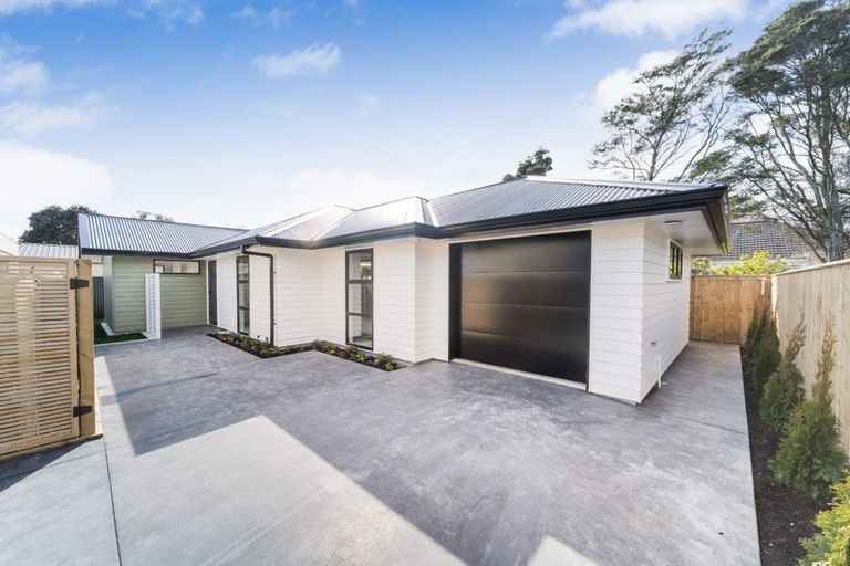 Photo of property in 24a Alfred Street, Roslyn, Palmerston North, 4414