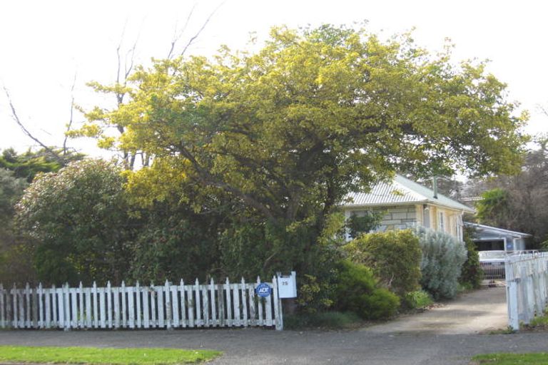 Photo of property in 75 Kuripuni Street, Kuripuni, Masterton, 5810