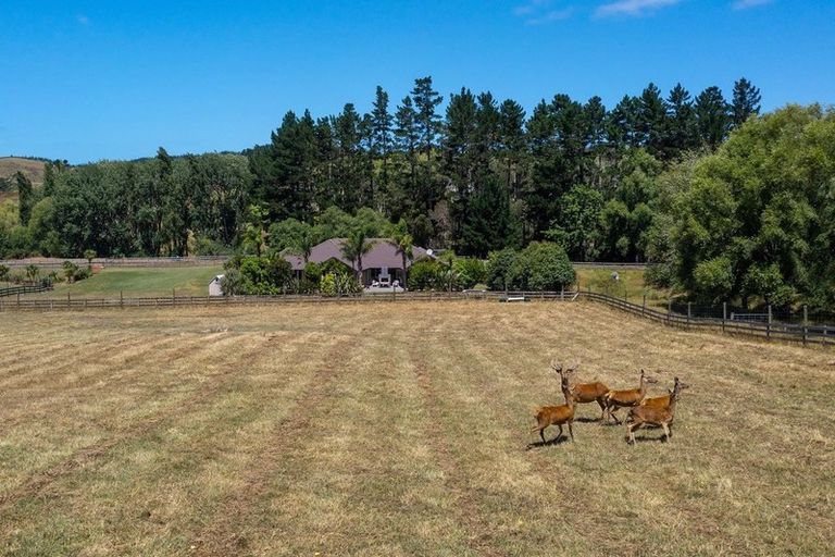 Photo of property in 8b Willow Lane, Stillwater, Silverdale, 0993