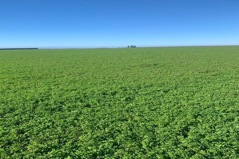 Photo of property in 784 Wrights Road, Oxford, 7495