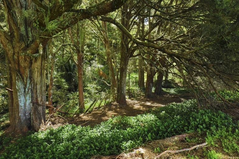 Photo of property in 131b Waitoki Road, Waitoki, Kaukapakapa, 0871