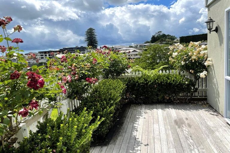 Photo of property in 59 Contour Avenue, Pyes Pa, Tauranga, 3112