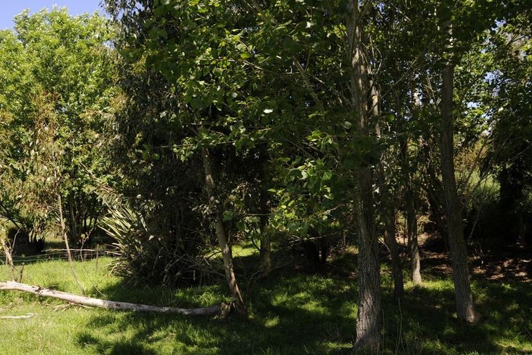 Photo of property in 80 Painstown Road, Waimate, 7978