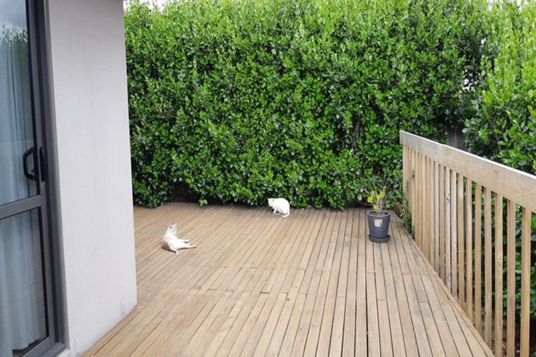 Photo of property in 24 Dayna Avenue, Ohauiti, Tauranga, 3112