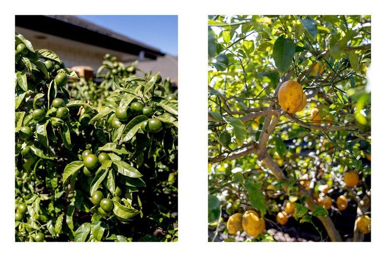 Photo of property in 3 Landward Close, Ohope, 3121