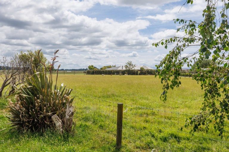Photo of property in 69 Reid Line East, Aorangi, Feilding, 4775