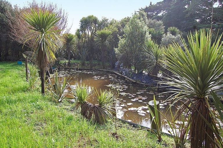 Photo of property in 210a Pukenui Road, Kaiwaka, 0573