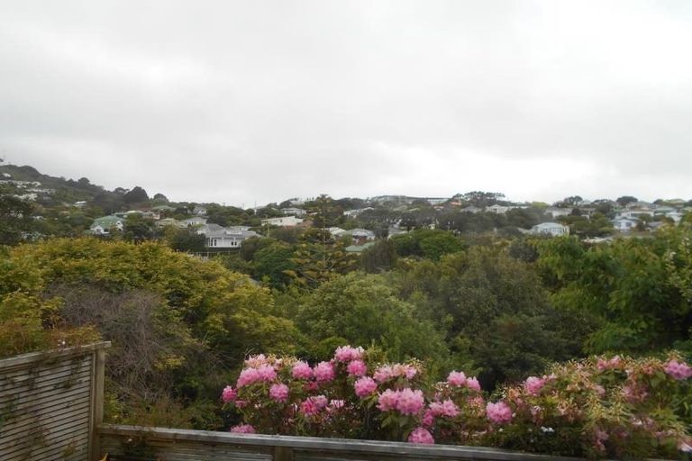 Photo of property in 53 Creswick Terrace, Northland, Wellington, 6012