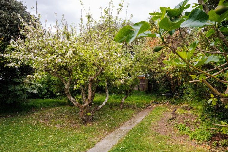 Photo of property in 6 Eton Place, Terrace End, Palmerston North, 4410