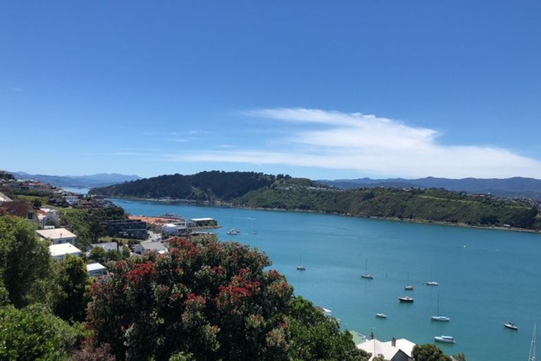 Photo of property in 51 Overtoun Terrace, Hataitai, Wellington, 6021