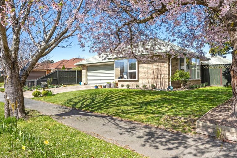 Photo of property in 45 Showgate Avenue, Sockburn, Christchurch, 8042