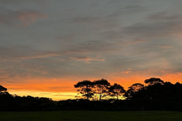 Photo of property in 169 Coulson Road, Paroa, Greymouth, 7805