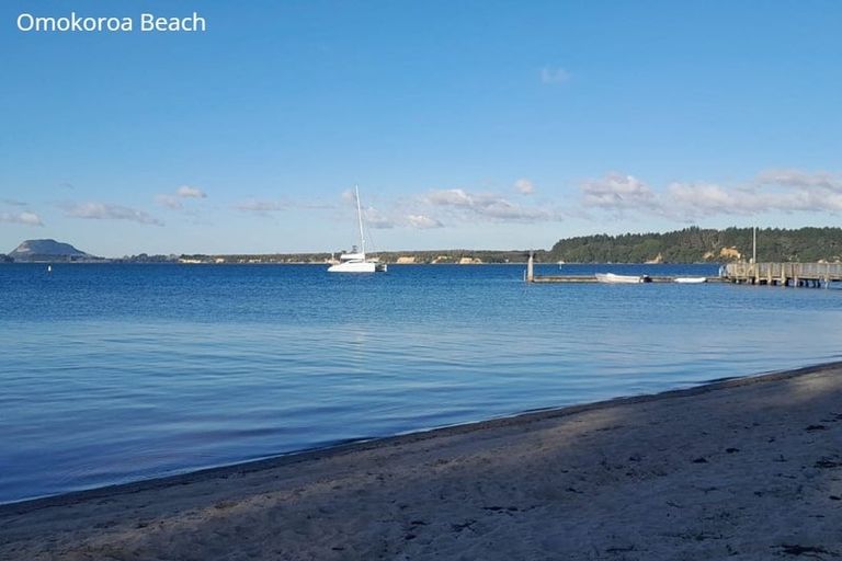 Photo of property in 61 Bert Wall Drive, Omokoroa, 3114