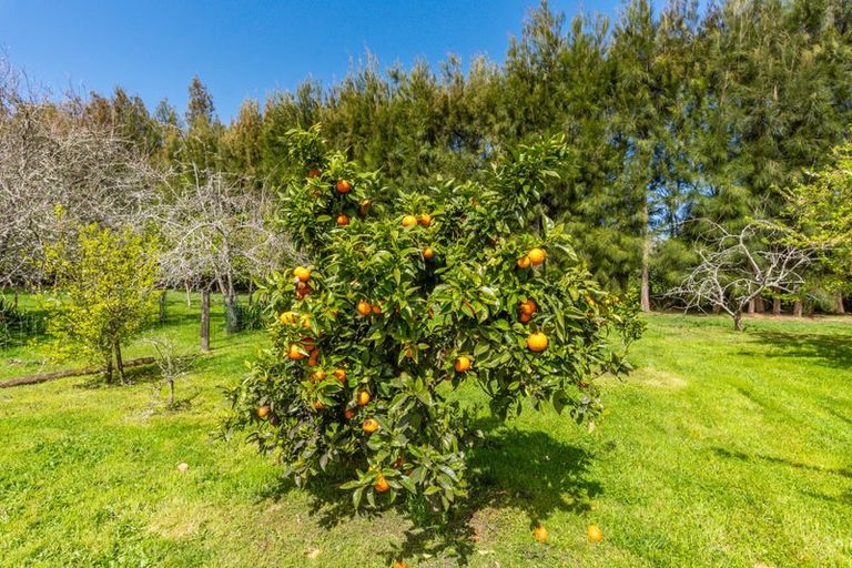 Photo of property in 35 Whelans Road, Levin, 5571