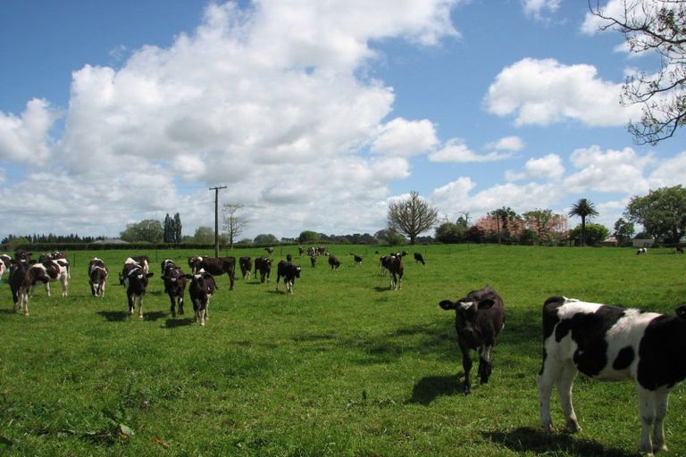 Photo of property in 595a Tauranga Road, Te Poi, Matamata, 3473
