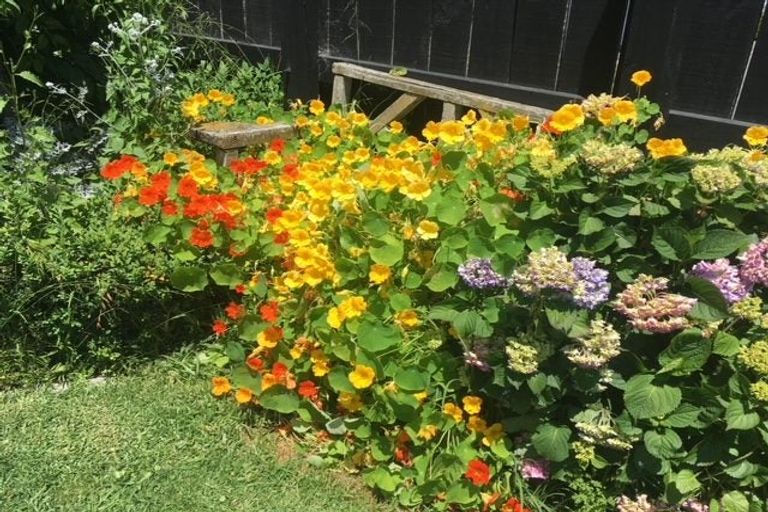 Photo of property in 1213 Caroline Road, Mayfair, Hastings, 4122