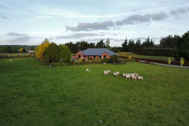 Photo of property in 107 Grahams Road, Tinwald, Ashburton, 7774