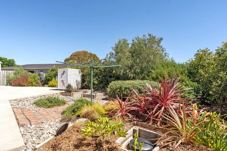 Photo of property in 4a Daniel Street, Martinborough, 5711