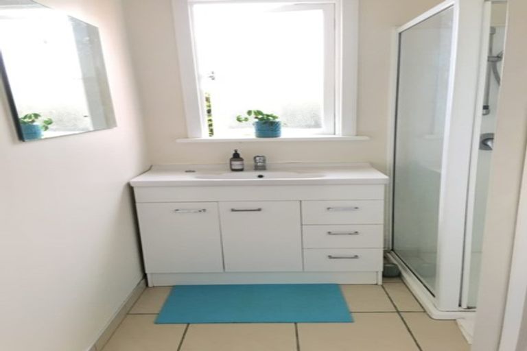 Photo of property in 45 Pacific Street, Roslyn, Dunedin, 9010