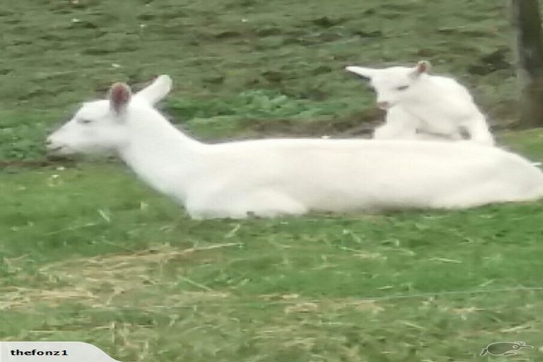 Photo of property in 44 Slater Road, Ruawaro, Huntly, 3772